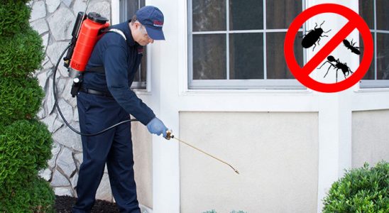 Pülümür Tahtakurusu İlaçlama böcek ilaçlama ve haşere kontrolü — ilaclama-tr.com